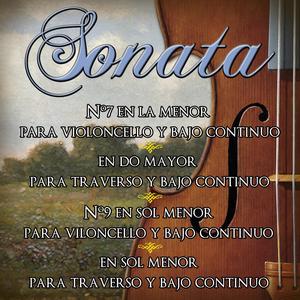 Sonata en Do Mayor Para Traverso y Bajo Continuo, Rv 48. Afettuoso