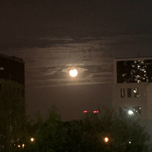 Меланхолия