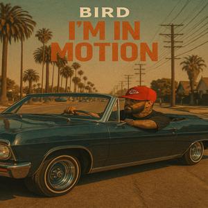 Im In Motion