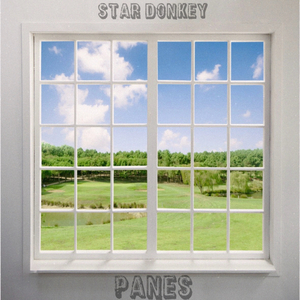 Panes