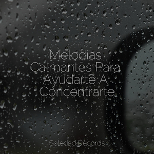 Susurros Junto Al Fuego