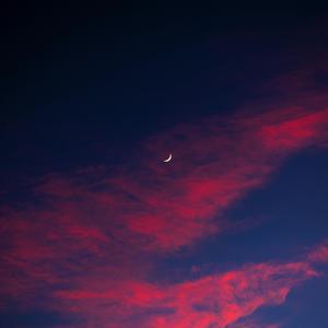 Tenuous (Instrumental)