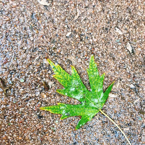 我总是一个人在练习一个人