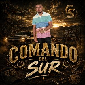 Comando del sur