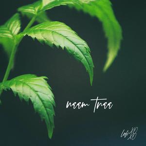 neem trunk