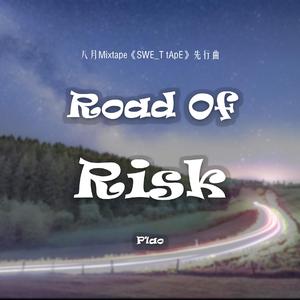 Snowy White-Road Of Risk（P1ao remix）