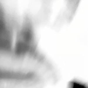 Boden (feat. bishkek & m84this)