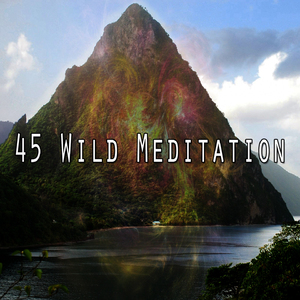 沉浸在你的靈魂中