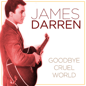 The Life of the Party