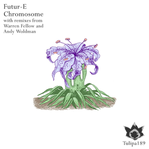 Chromosome (Original Mix)