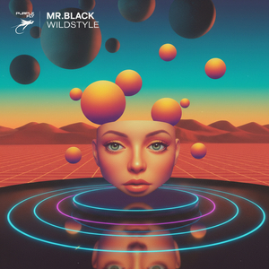 Wildstyle (Extended Mix)