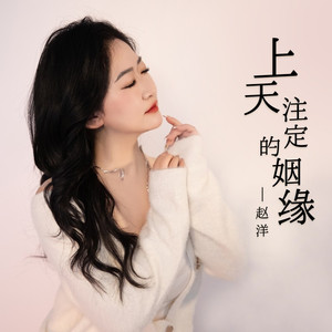 上天注定的姻缘 (DJBanan版)