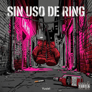 Sin Uso de Ring