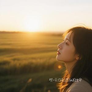 那一天你走进了我的生命 (Remix)