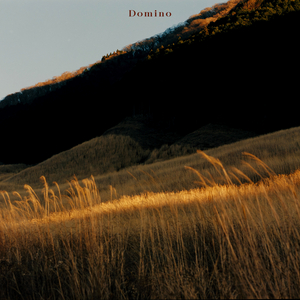 Domino feat.寺久保伶矢