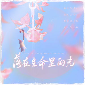 落在生命里的光