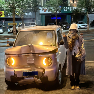 我赴人间惊鸿宴