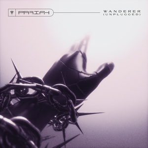 Wanderer (Unplugged)