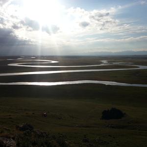 再唱路边的野花不要采