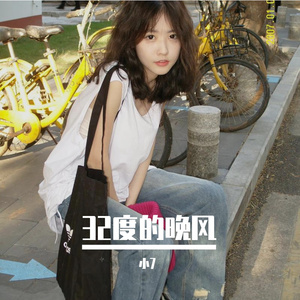 32度的晚风（小7 remix）