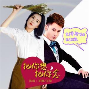 把你想把你念(DJ宇轩Remix蓝调版)