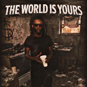 T.W.I.Y(The World Is Yours)