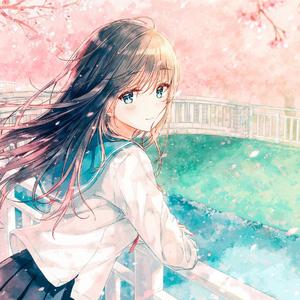 樱花樱花想见你 口琴（翻自 RSP）