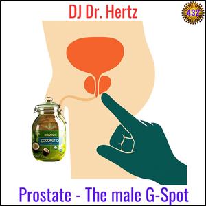 Prostate - The Male G-Spot