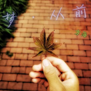 你点亮了整个星空