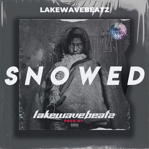 【Free】"Snowed" 雪原双子 笛子Flute Guitar Type Beat