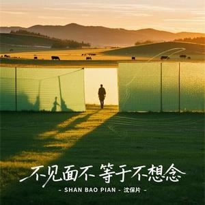 不见面不等于不想念 (降调版)