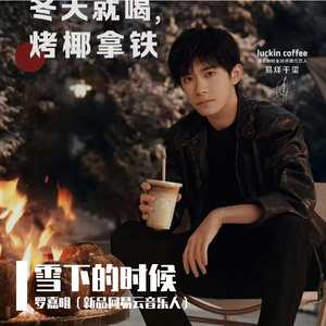 雪下的时候（part和声版）