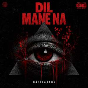 DIL MANE NA