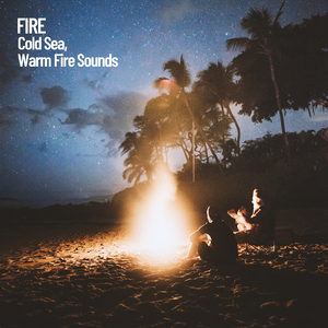 Ocean by Fireplace Sounds