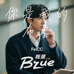 你是我的布鲁 (Cover 张碧晨)