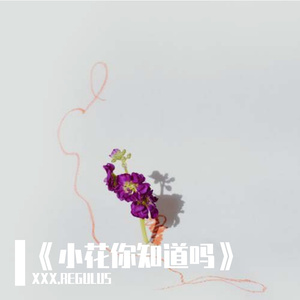 《小花你知道吗》Demo