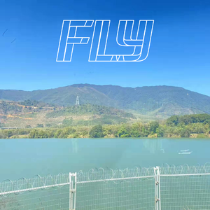 Fly