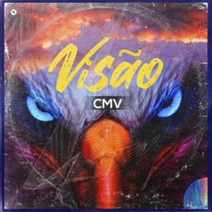 Visão