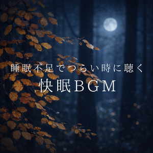 毎日聴きたい睡眠導入音楽 疲労回復ナイトルーティン