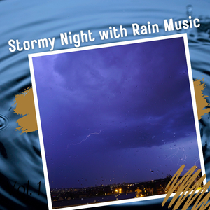 The Rain, The Park and Other Things