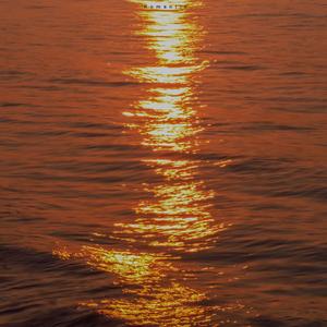 Palpitate（Prod.阿劲Tsui）