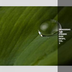 Jolly Rain on Leaves