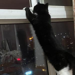 デート（翻自 野田洋次郎）