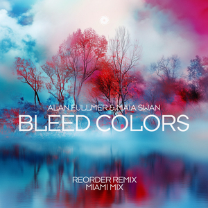 Bleed Colors (ReOrder Remix)
