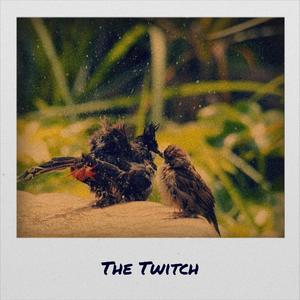 The Twitch
