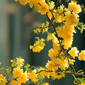 余晖街口的徘徊