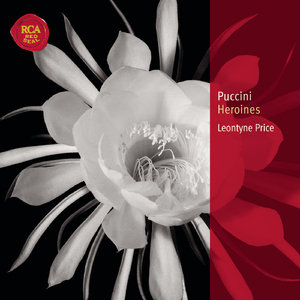 Turandot:Act II: In questa reggia