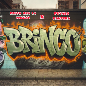 Brinco