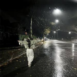 四点的海棠花未眠