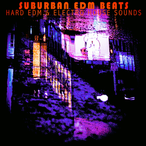 I Watch You Arrive (The Sound Alteration Mix)